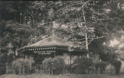 View of Botanical Garden Singapore Southeast Asia Postcard Postcard Postcard