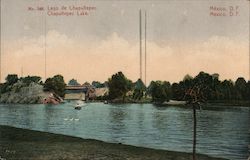 No. 348 Lago the Chapultepec Postcard