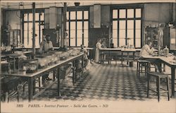 Paris - Institut Pasteur Postcard