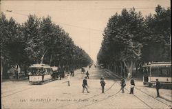 Promenade du Prado Postcard