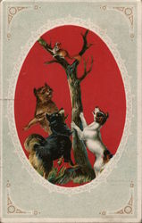 Squirrel Treed by Dogs Postcard Postcard Postcard