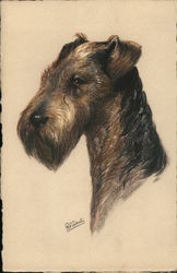 Airedale Terrier Dogs Postcard Postcard Postcard