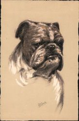 English Bulldog Dogs Postcard Postcard Postcard