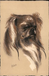 Pekingese Dogs Postcard Postcard Postcard