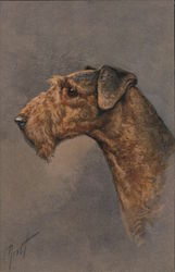 Airedale Terrier Dogs Postcard Postcard Postcard