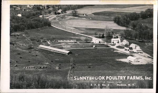 Sunnybrook Poultry Farms Hudson, NY Postcard