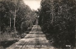 Scene Down Country Road HUbbard Lake, MI Postcard Postcard Postcard