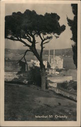 Aerial View Postcard