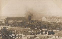 Birds Eye View Livingston, MO Postcard Postcard Postcard