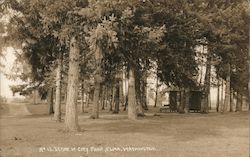 Scene in City Park Elma, WA Postcard Postcard Postcard