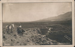 Little Salmon River Valley, Looking North from Birds Nest HIl, A Fertile Farming Area Idaho M. B. Martin Postcard Postcard Postcard