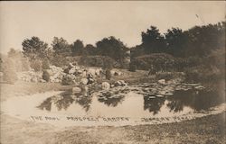 The Pool Prospect Garden Morgan Park Chicago, IL Postcard Postcard Postcard