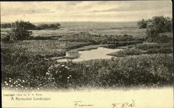 A Nantucket Landscape Massachusetts Postcard Postcard