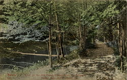 Scene On The Old Canal Scenic, ME Postcard Postcard