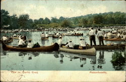 View On Charles River Postcard