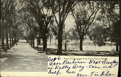 Boston Common And Frog Pond Postcard