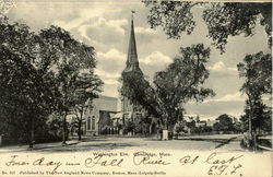 Washington Elm. Cambridge, MA Postcard Postcard