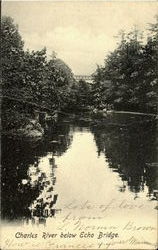 Charles River Below Echo Bridge Postcard