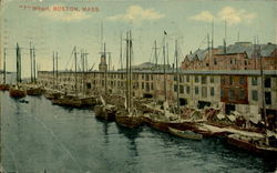 T Wharf Boston, MA Postcard Postcard