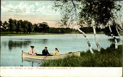 The Birches At Roger William'S Park Postcard