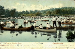 View On Charles River Postcard