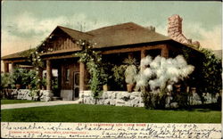 A California Log Cabin Home Postcard