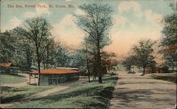 The Zoo, Forest Park Postcard