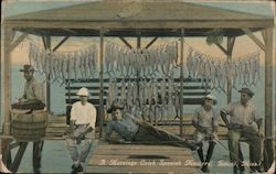 A Morning Catch Spanish Mackerel Biloxi, MS Postcard Postcard Postcard