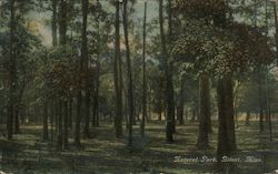 Natural Park Biloxi, MS Postcard Postcard Postcard