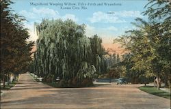 Magnificent Weeping Willow, Fifty-Fifth and Wyandotte Kansas City, MO Postcard Postcard Postcard