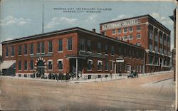 Kansas City Veterinary Hospital Missouri Postcard Postcard Postcard