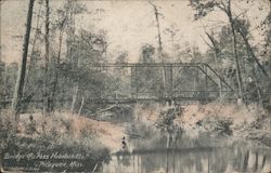 Bridge Across Hobolochitto Postcard