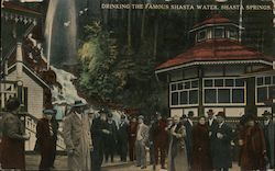 Drinking the Famous Shasta Water Shasta Springs, CA Postcard Postcard Postcard