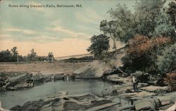 Scene along Gwynn's Falls Postcard