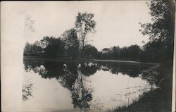 A lake Postcard