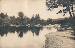 Scene in Territory Leased by Kennebago Hotel Co. Kennebago Lake, ME Postcard Postcard Postcard