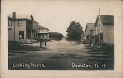 Looking North Demster, NY Postcard Postcard Postcard