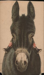 Chase & Sanborn's Coffee, Donkey Trade Card