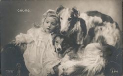 a Girl and Her Dogs Postcard Postcard Postcard