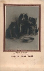 Three Dogs - Puzzle Post Card Postcard