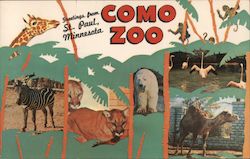 Como Zoo St. Paul, MN Postcard Postcard Postcard