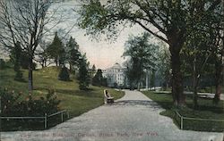 View in the Botanical Garden, Bronx Park New York, NY Postcard Postcard Postcard