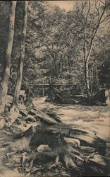 Bronx River, New York Postcard Postcard Postcard