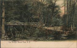 The Bridge, Bronx Park Postcard