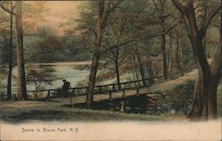 Scene in Bronx Park New York Postcard Postcard Postcard