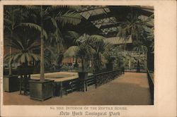 Interior of the Reptile House New York Zoological Park Postcard