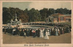 Sea Lion Pool, New York Zoological Park Bronx, NY Postcard Postcard Postcard