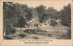 View from Mountain Sheep Hill, New York Zoological Park Postcard