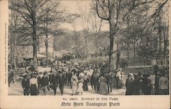 Sunday In The Park, New York Zoological Park Bronx, NY Postcard Postcard Postcard