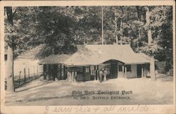 New York Zoological Park - Buffalo Entrance Bronx, NY Postcard Postcard Postcard